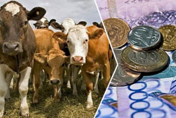 Фотография к новости: "Бюджетные средства растворяются" - Токаев о субсидировании АПК