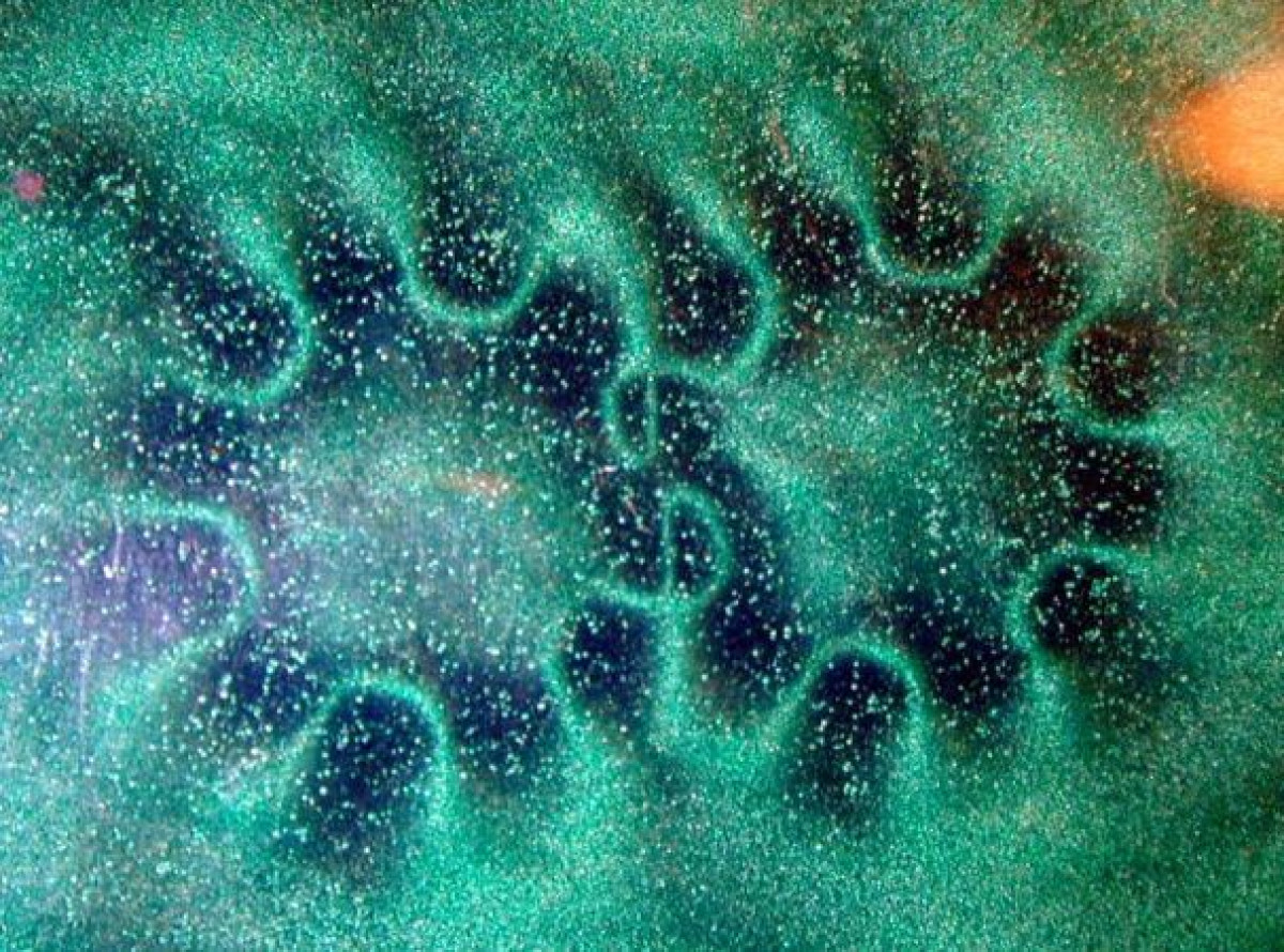 из открытых источников 