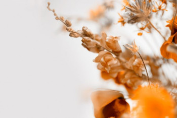 Фотография к новости: Потепление ожидает казахстанцев в выходные