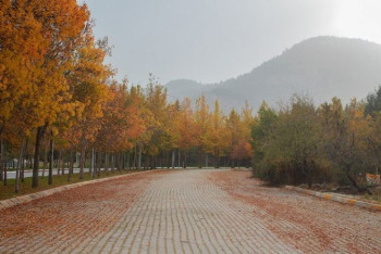 Фотография к новости: Синоптики обещают погоду без осадков 8 ноября