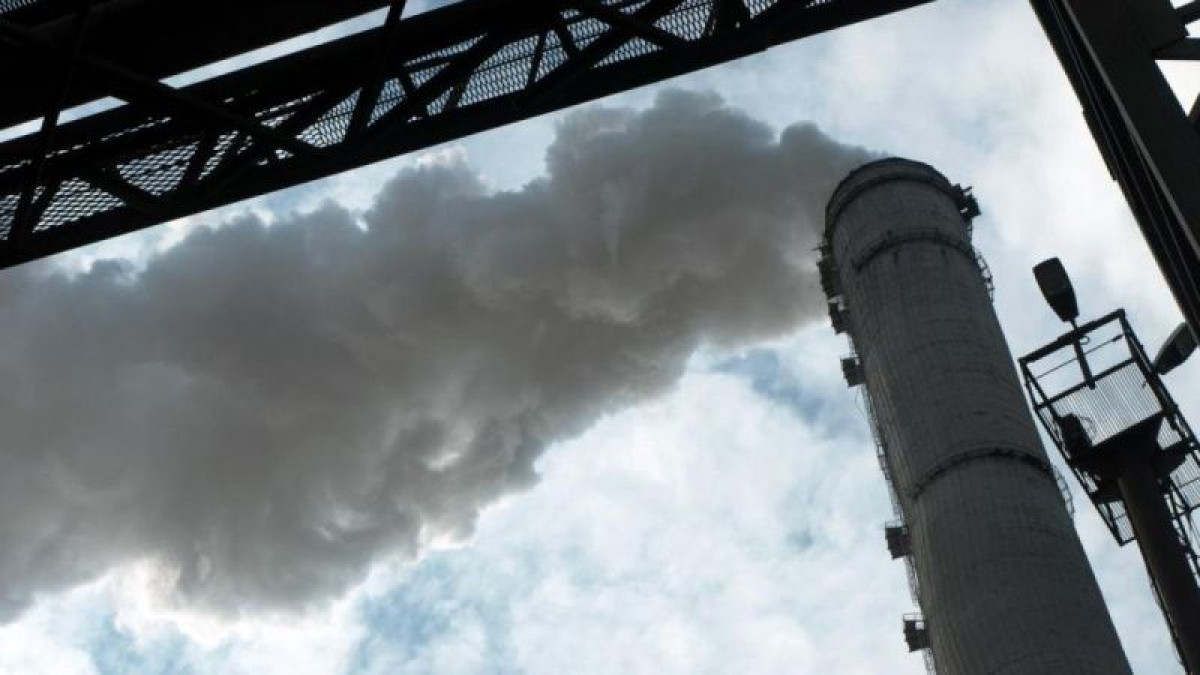 иллюстративное 