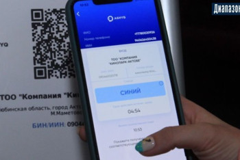 Фотография к новости: Чиновникам не удалось изолировать людей с "синим" статусом в Нур-Султане
