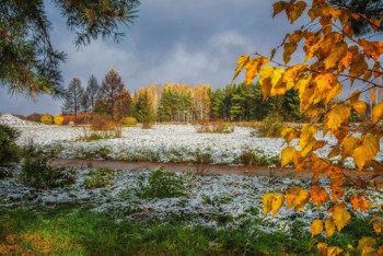Фотография к новости: Синоптики рассказали о погоде по Казахстану на 9 ноября