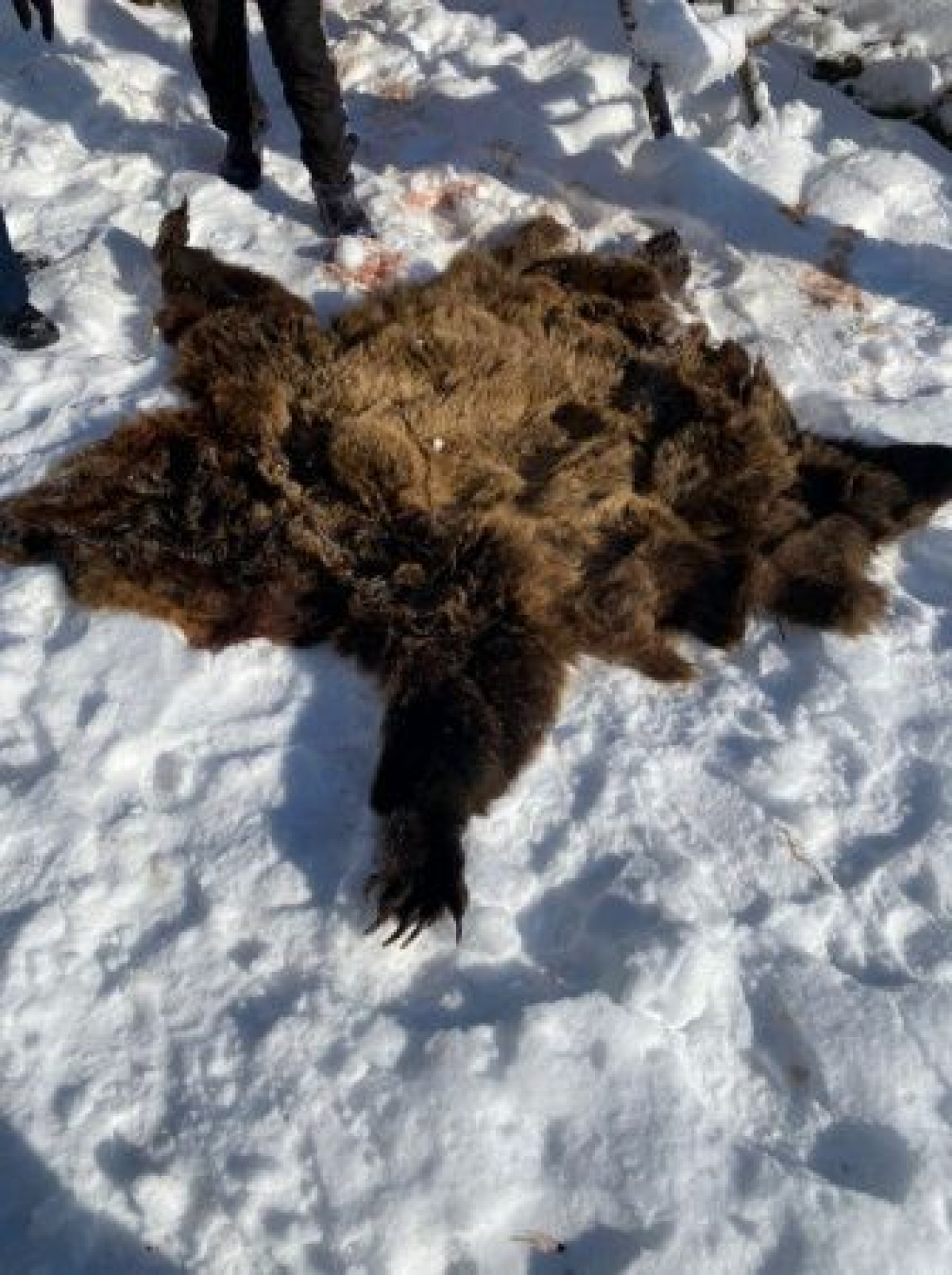 пресс-служба ДП ВКО