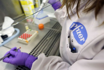 Фотография к новости: Pfizer: вебинары для педагогов школ проводит санитарная служба в Акмолинской области