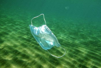 Фотография к новости: Около 25 тысяч тонн медицинских отходов попало в мировой океан из-за пандемии коронавируса