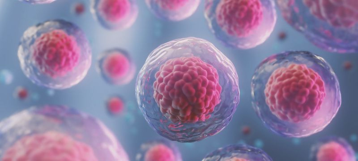 иллюстративное 