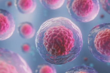 Фотография к новости: Если контролировать размер клетки, можно предотвратить возрастные заболевания