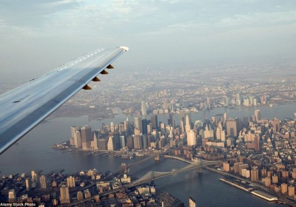 Яндекс.Дзен