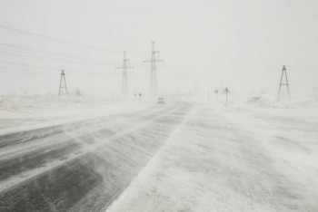 Фотография к новости: Ушел пасти овец: пропавшего в буран мальчика нашли в Кызылординской области