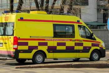 Фотография к новости: Дерево упало на школьника в Таразе