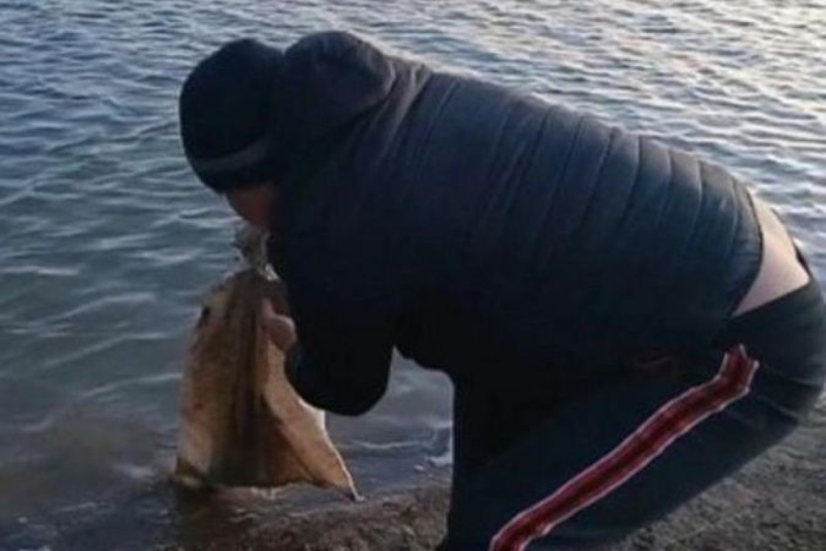 Утопить щенка в мешке с камнем пытались дети в Атырау