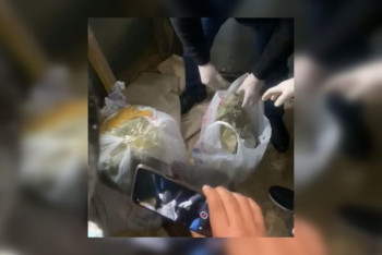 Фотография к новости: 20 килограммов марихуаны прятал в тележке для перевозки пчелиных ульев житель Туркестанской области