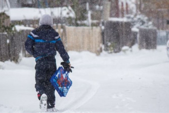 Фотография к новости: Учащихся с нулевого по седьмые классы второй смены перевели на удаленку в Нур-Султане