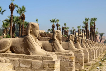 Фотография к новости: В египетском Люксоре открыли древнюю Аллею сфинксов после реставрации