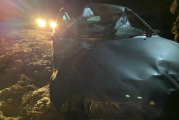 Фотография к новости: Два человека пострадали в ДТП с лошадьми в СКО