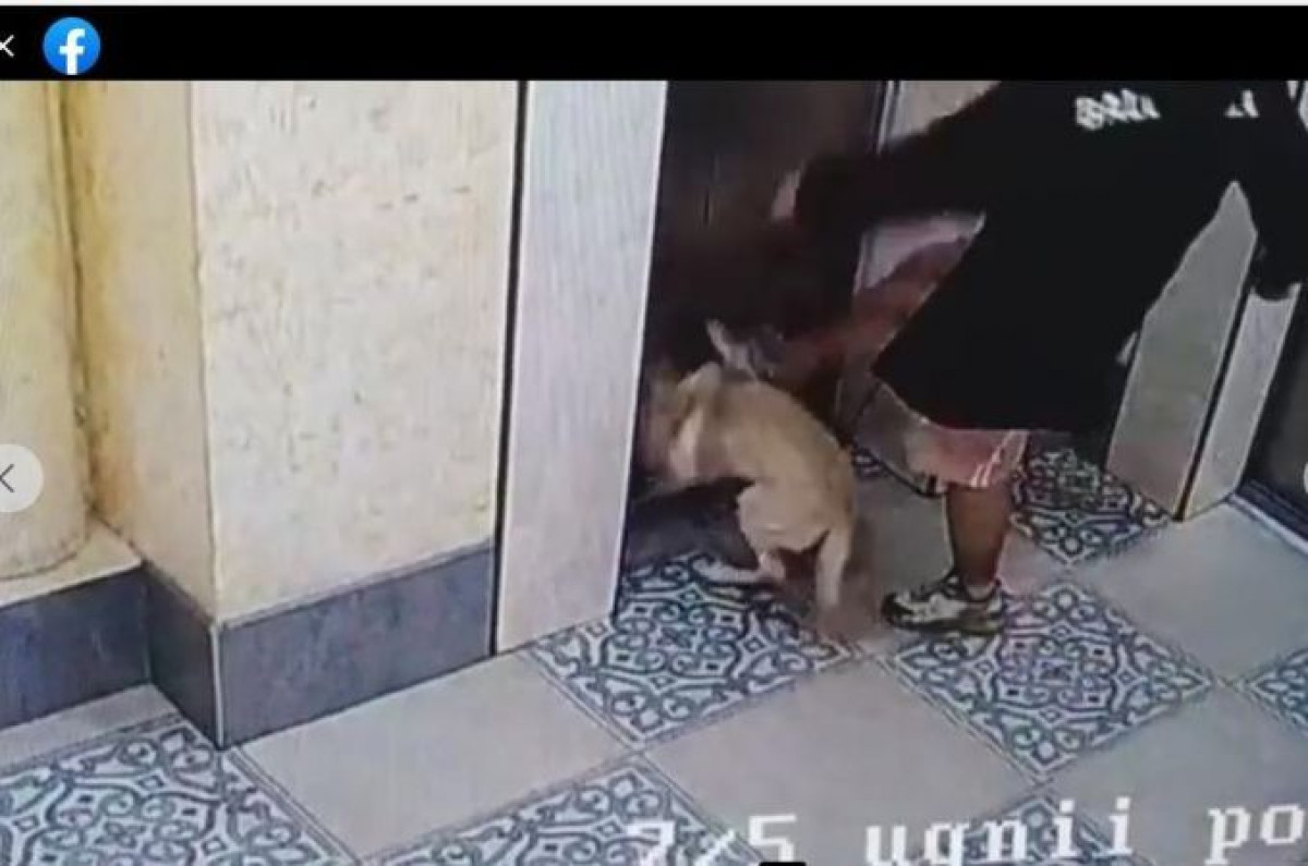 Мужчина жестоко избил собаку в одном из ЖК Алматы