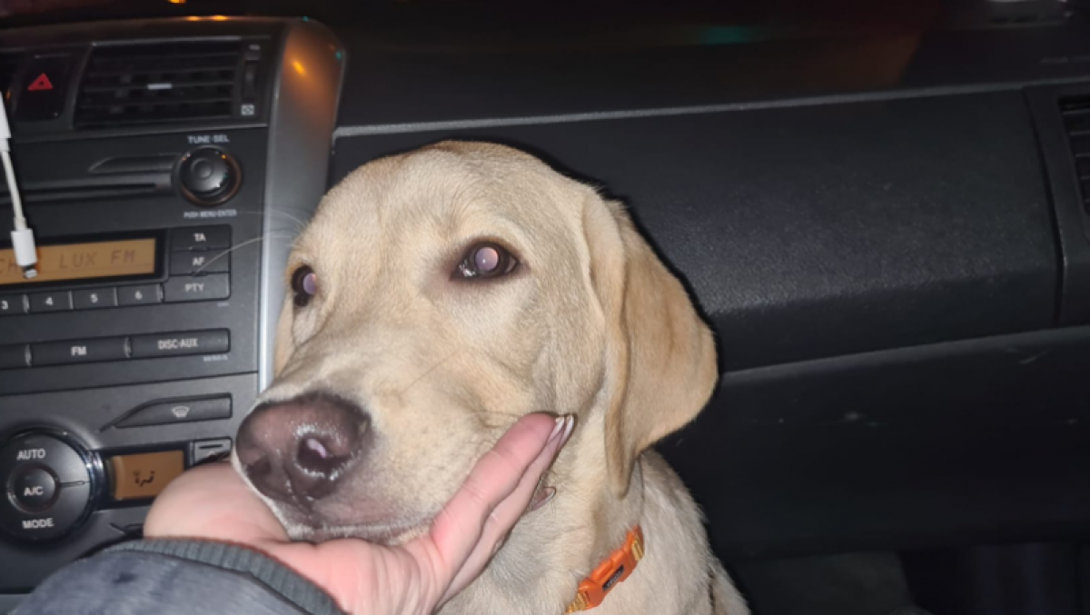 Facebook/Инесса Владимировна