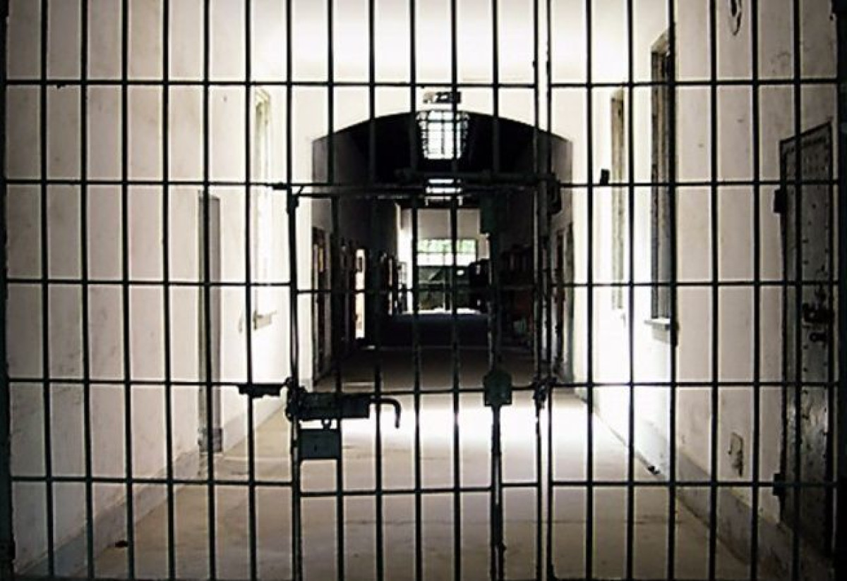 иллюстративное 