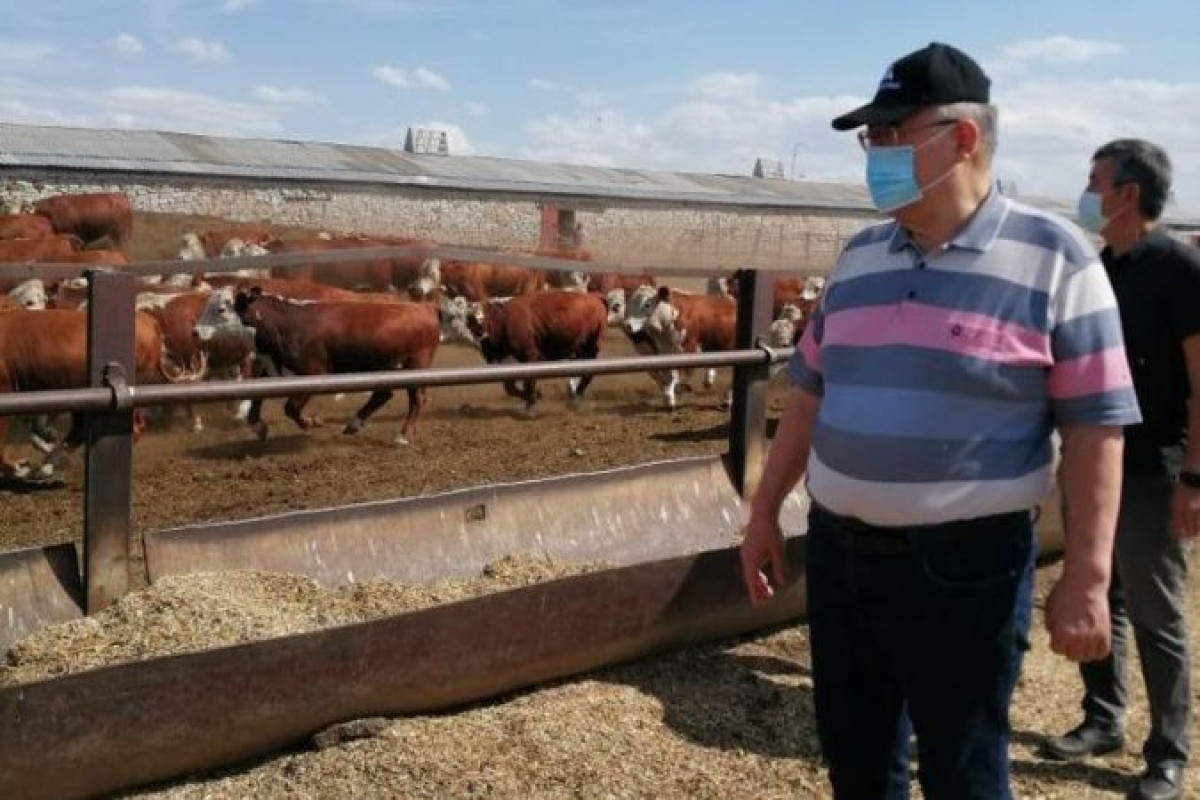 Кредиты для казахстанских фермеров станут доступнее и дешевле