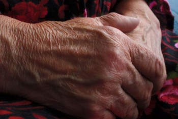 Пенсионерка-блокадница из Алматы нашла внуков в Германии