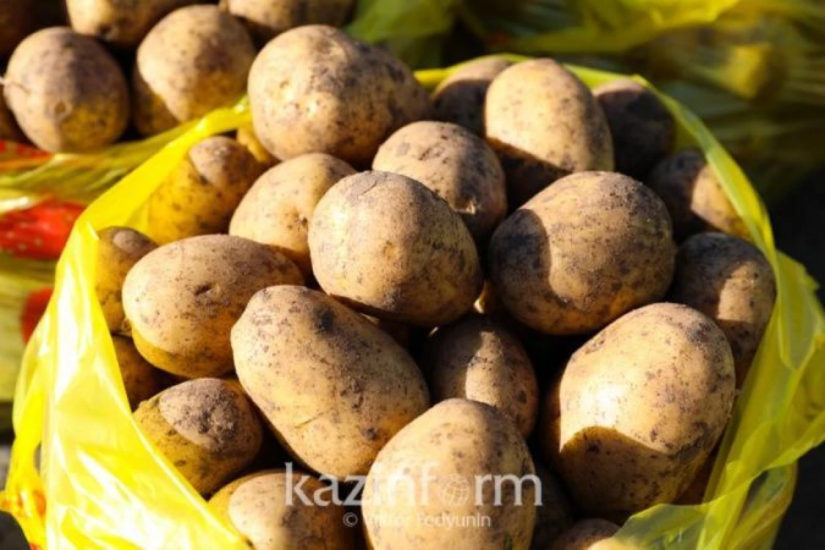 Запрет на вывоз картофеля, моркови и скота вводит Казахстан