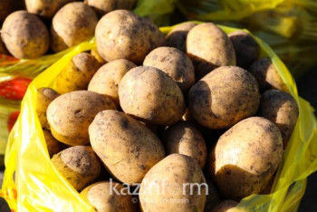 Фотография к новости: Запрет на вывоз картофеля, моркови и скота вводит Казахстан