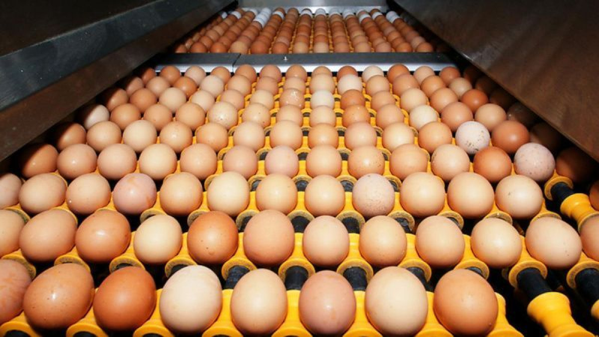 иллюстративное