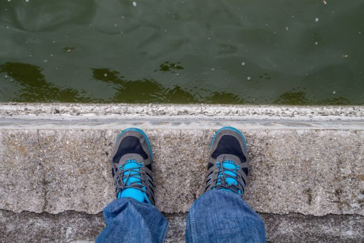 иллюстративное