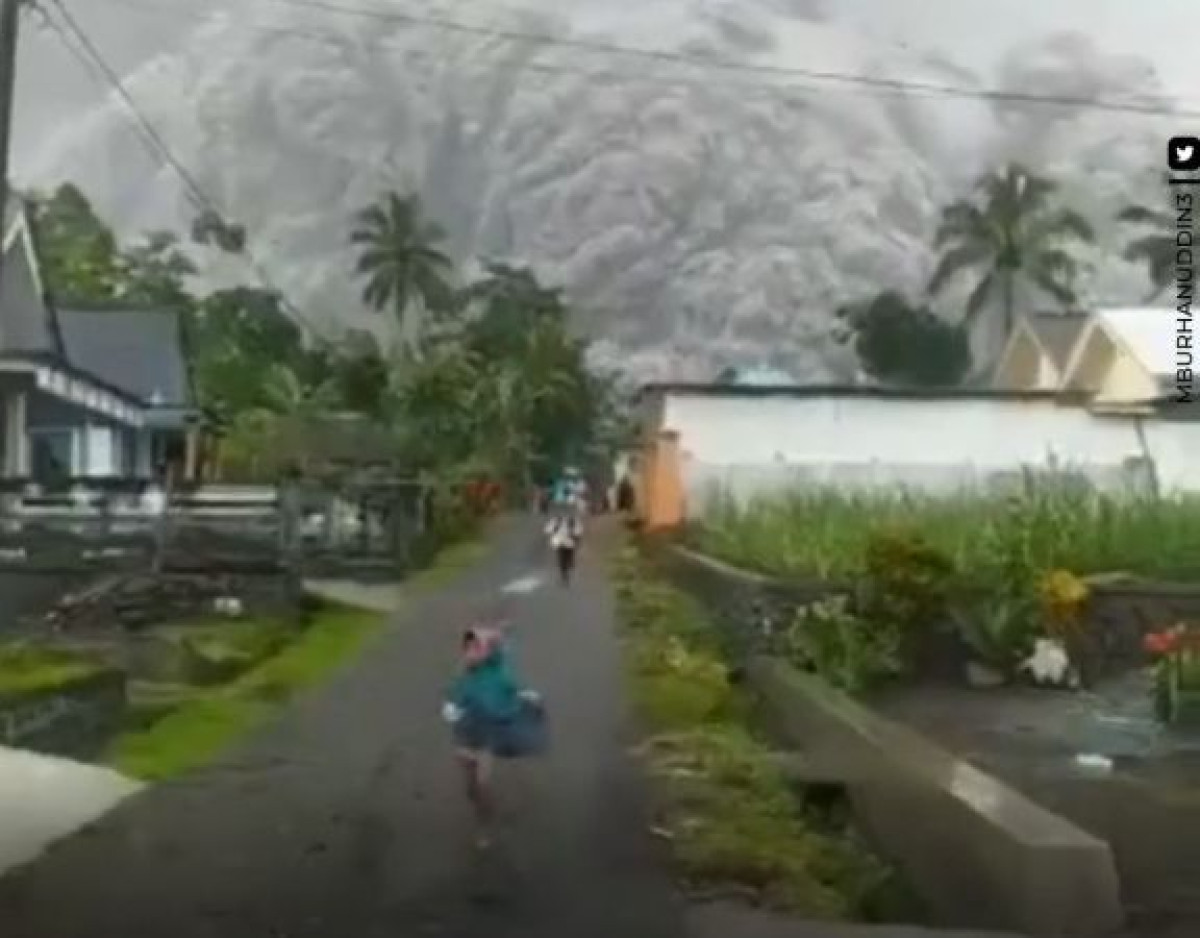 кадр из видео