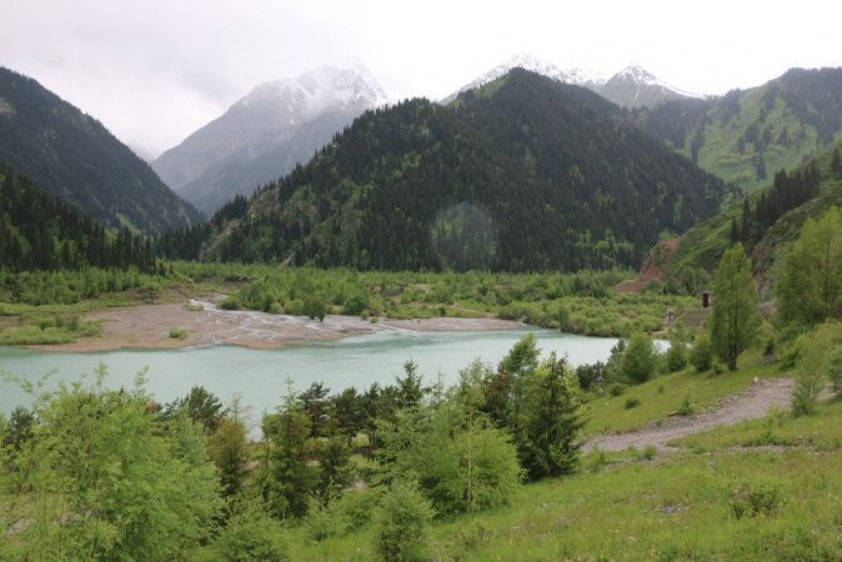 из открытых источников