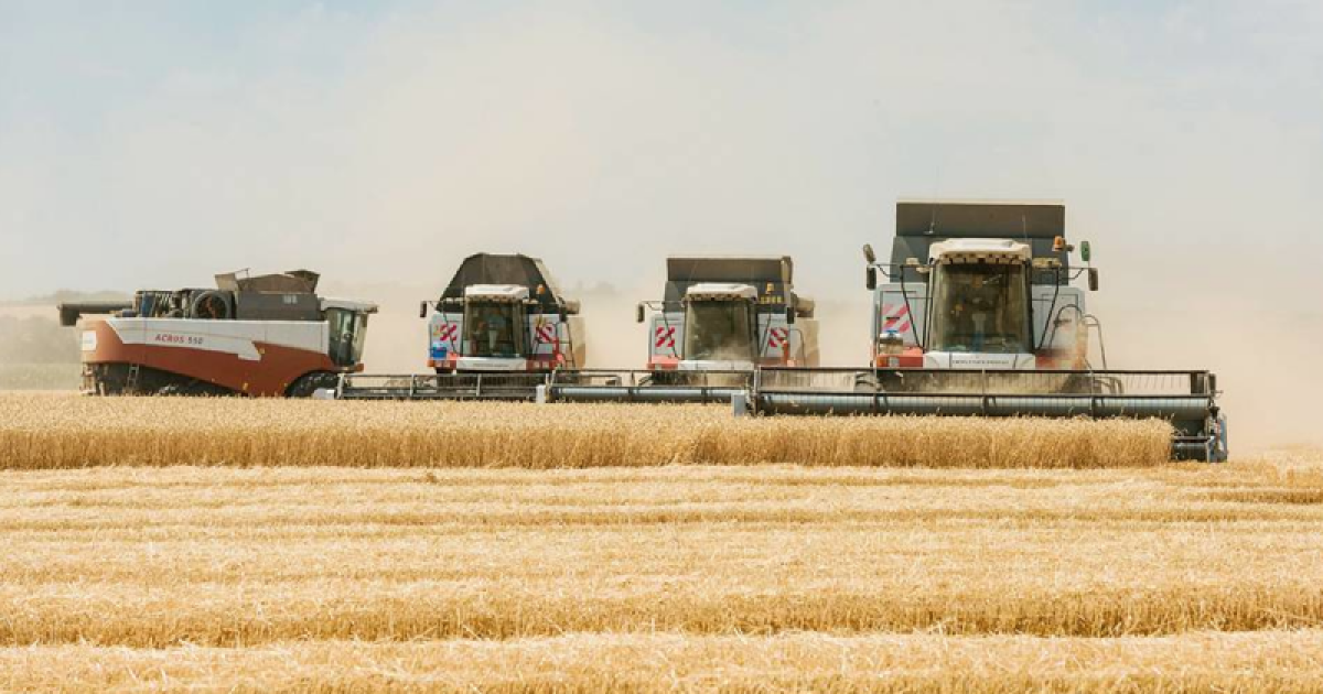 иллюстративное 