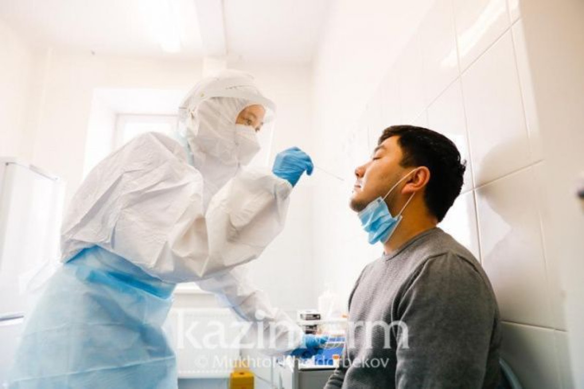 Срок действия результатов ПЦР-тестов на ковид сократили до 48 часов в России