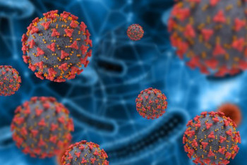 Фотография к новости: Дети переносят омикрон-штамм КВИ иначе, чем взрослые – британский врач