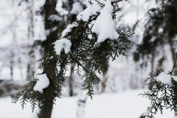 Фотография к новости: Какая погода ожидает казахстанцев 9 декабря