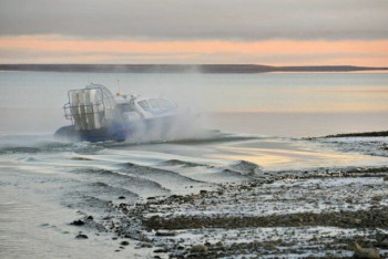 Фотография к новости: Озера Арктики может спасти птичьи помет
