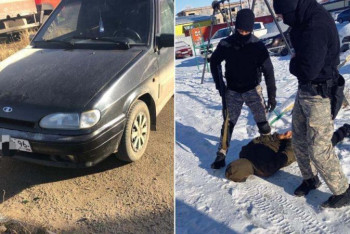 Фотография к новости: Скотокрады отстреливали домашних животных в Костанайской области