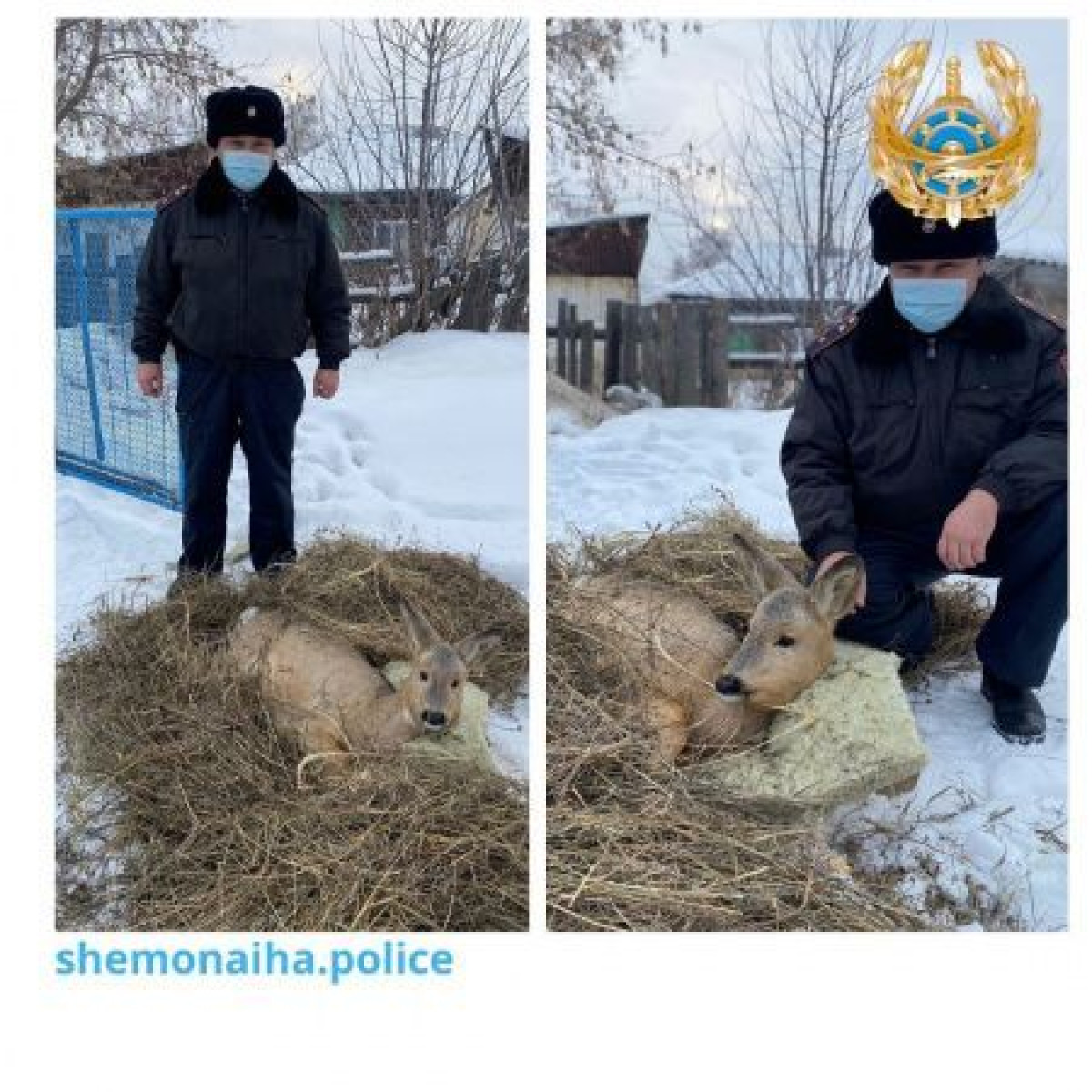 instagram.com/shemonaiha.police