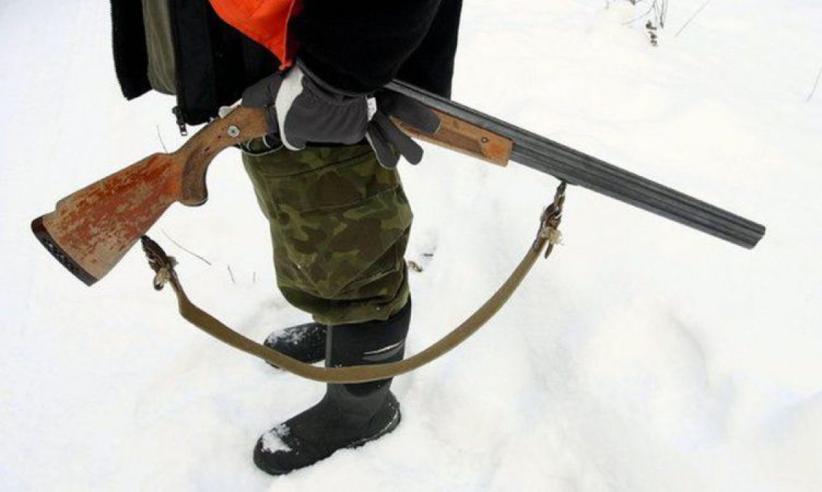 novosti-saratova.ru
