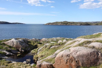 Фотография к новости: Новый температурный рекорд зафиксирован в Арктике — 38 °C тепла