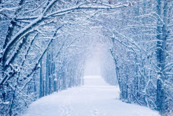 Фотография к новости: Синоптики рассказали о погоде в Казахстане на 15 декабря