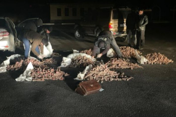 Фотография к новости: Рога сайгаков стоимостью 5 млрд тенге пытались продать в Кызылординской области