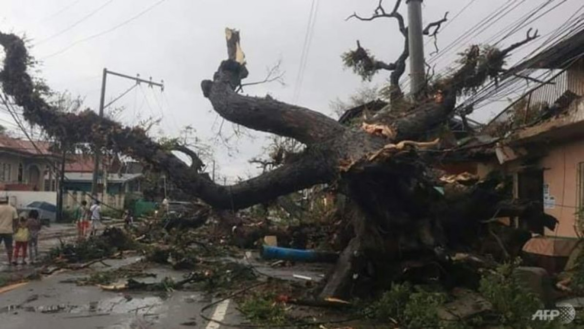 AFP/File/Alan Tangcawan