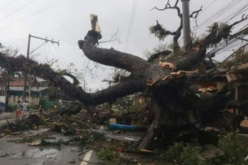 Фотография к новости: Свыше 70 человек стали жертвами тайфуна на Филиппинах