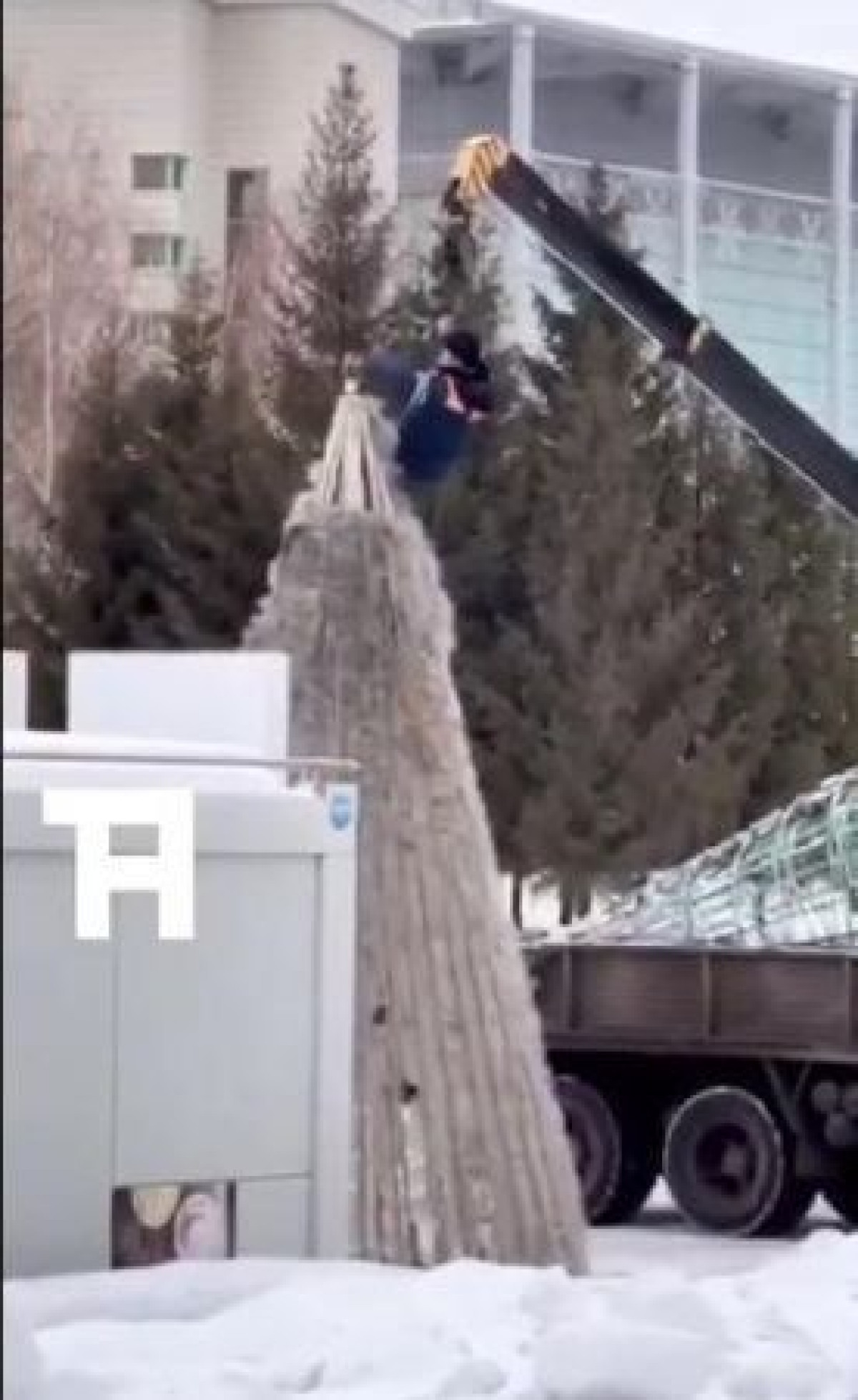 Рабочего привязали к крану для украшения елки в Нур-Султане