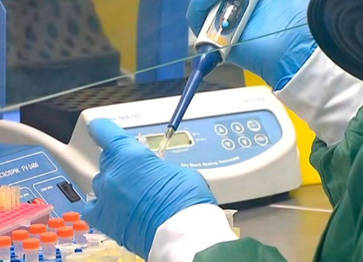 иллюстративное