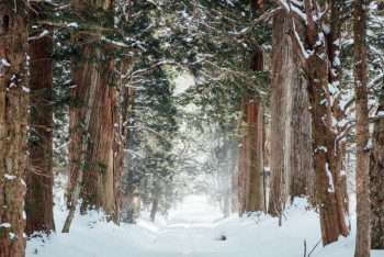 Фотография к новости: Какая погода ожидает казахстанцев 28 декабря