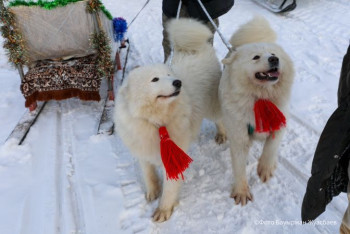 Фотография к новости: Веселые горки, конные прогулки и ледовые городки: зимние развлечения для астанчан