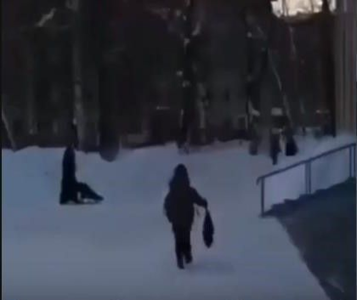 Мальчик бежал за санями Деда Мороза с криками "Стой" в ВКО