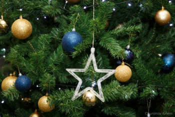 Фотография к новости: Блиц-опрос: хорошие и плохие подарки на Новый год для казахстанцев